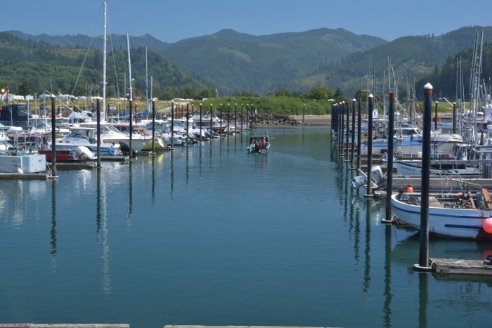Garibaldi marina